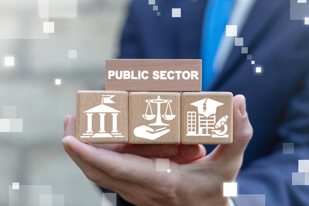 person holding blocks with public sector symbols